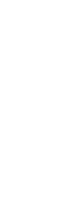 本格炭焼 とりいち